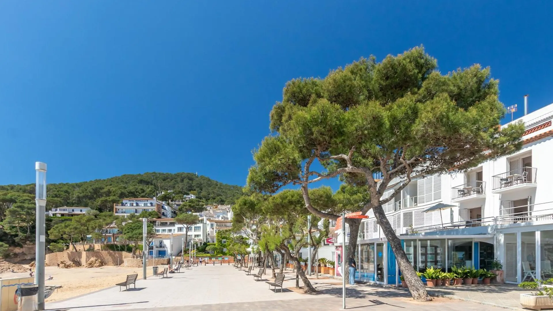 Apartmán III Atico Frente Al Mar En Tamariu Španělsko